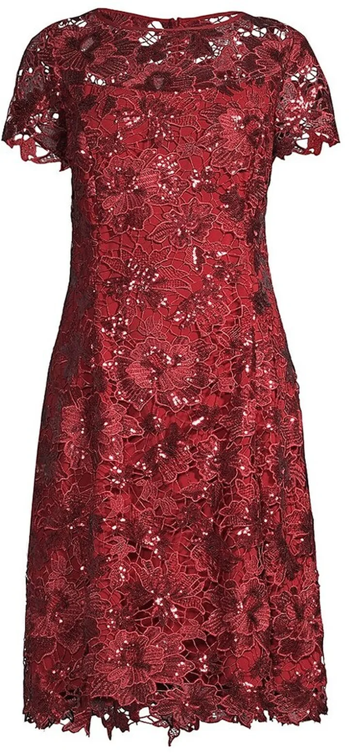 Sequin Lace Fit & Flare Dress