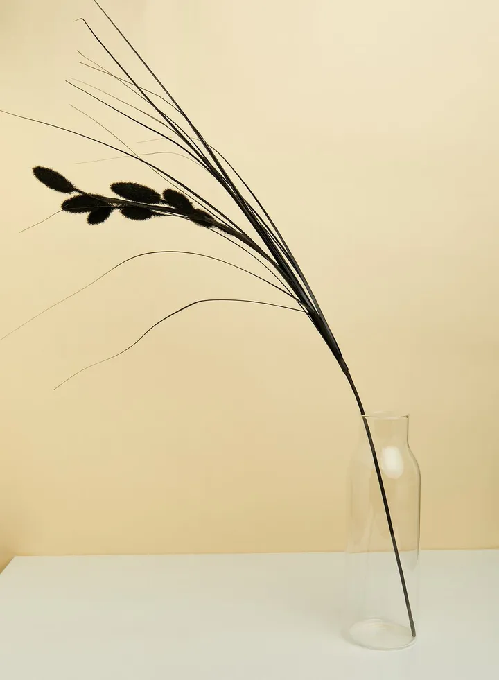 Black Foxtail 70Cm