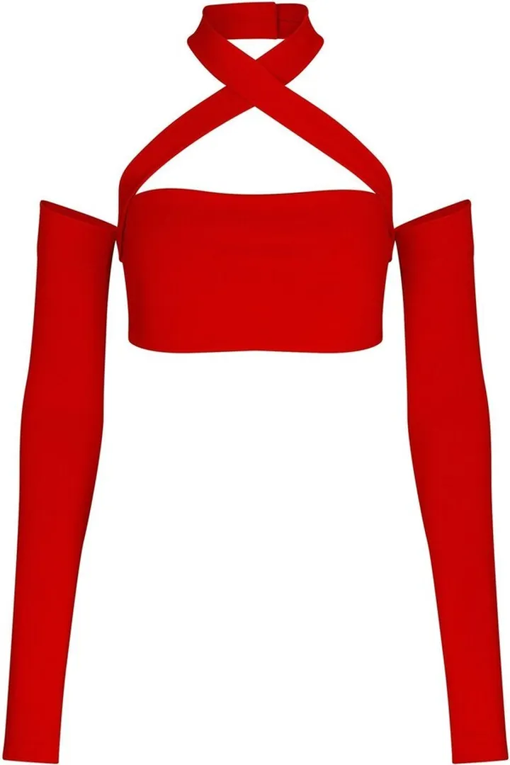 Halterneck Cropped Top