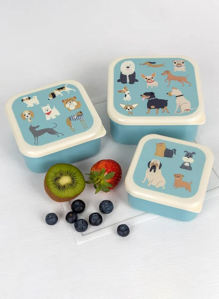 Set Of 3 Best In Show Snack Boxes