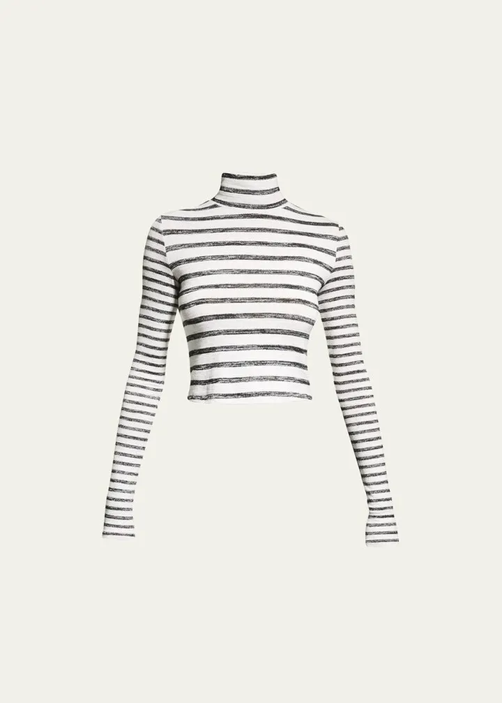The Knit Stripe Cropped Jersey Turtleneck Top