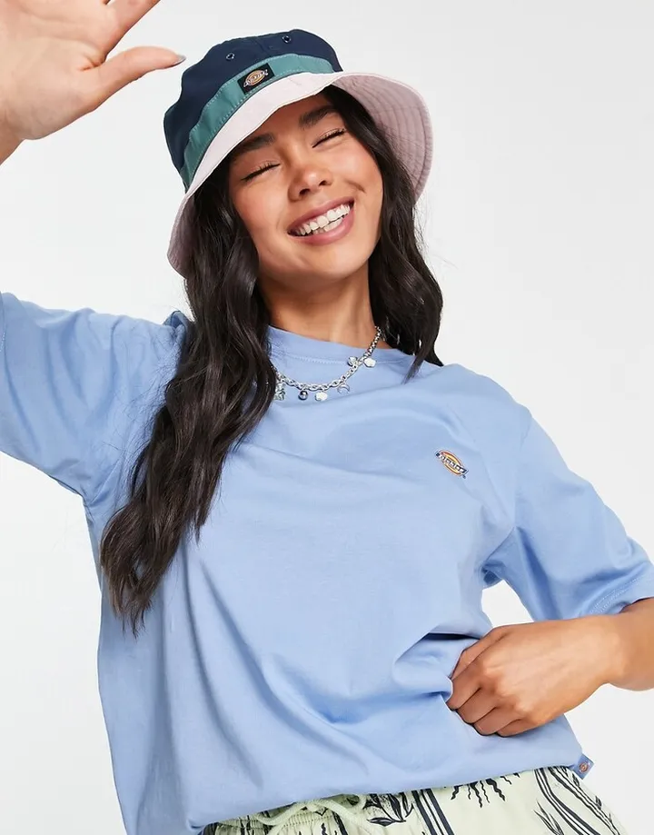 Dickies Mapleton t-shirt in blue