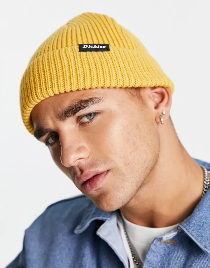 Dickies Woodworth beanie in tan