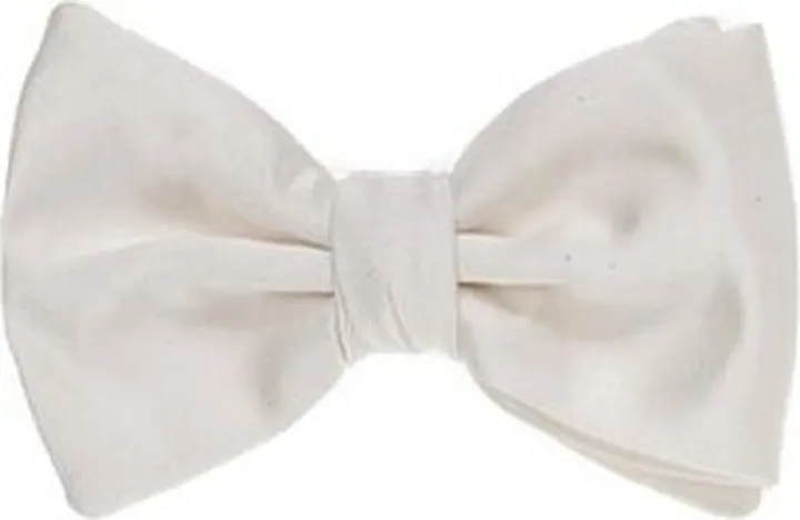 Emporio Armani Clip-Fastened Bow Tie