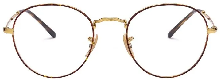 Ray-Ban Round Frame Glasses