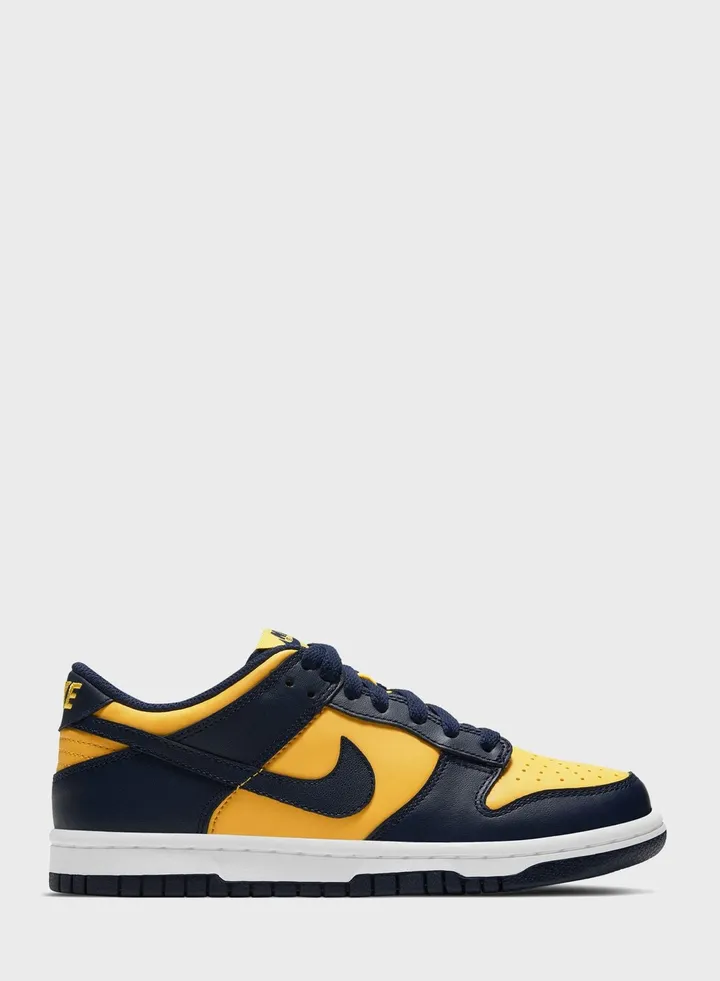 Youth Dunk Low
