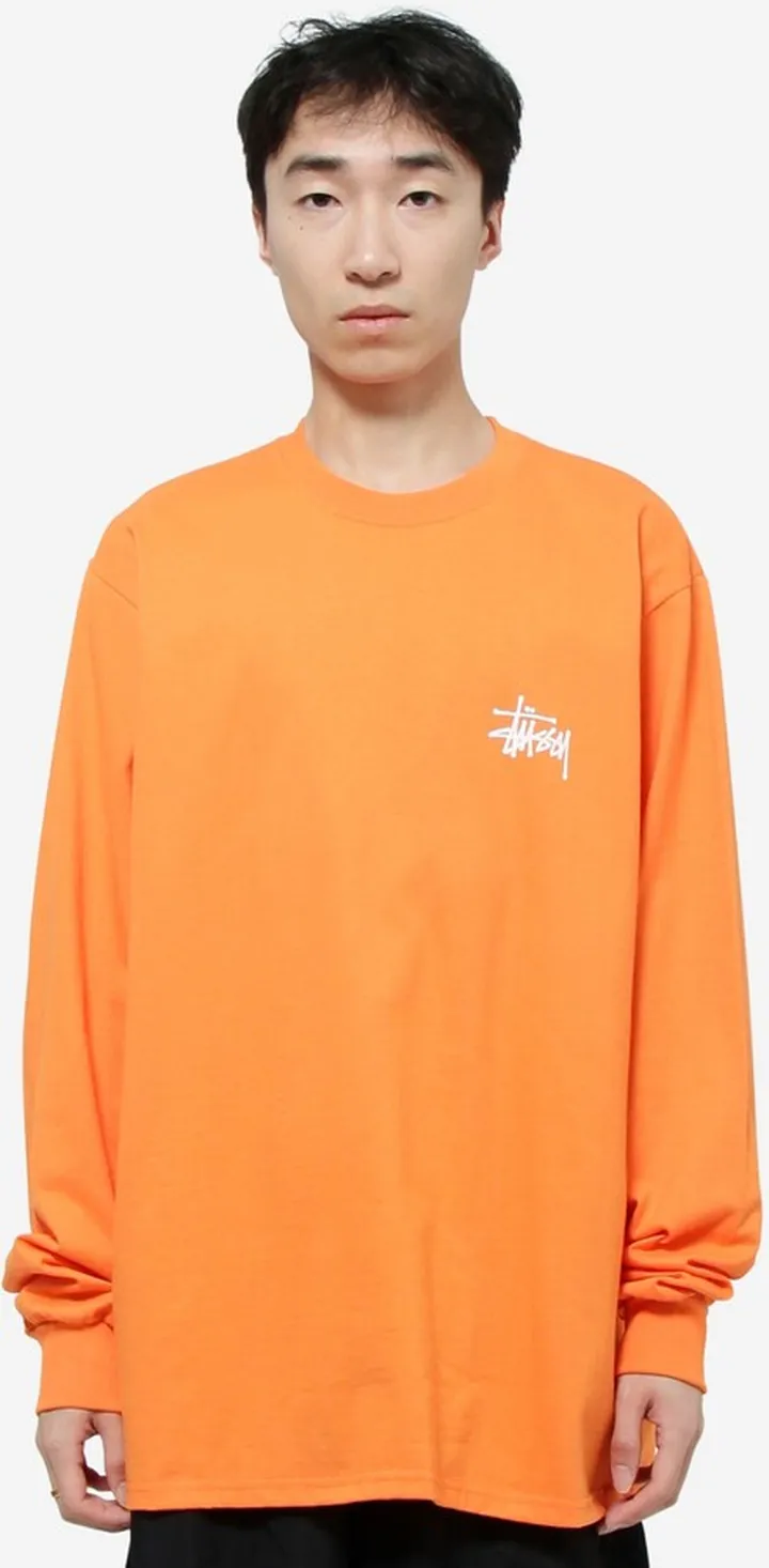 Basic Stussy Longsleeve