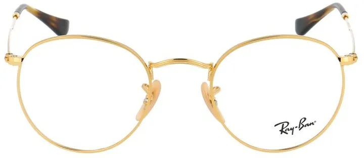 Ray-Ban Round Frame Glasses