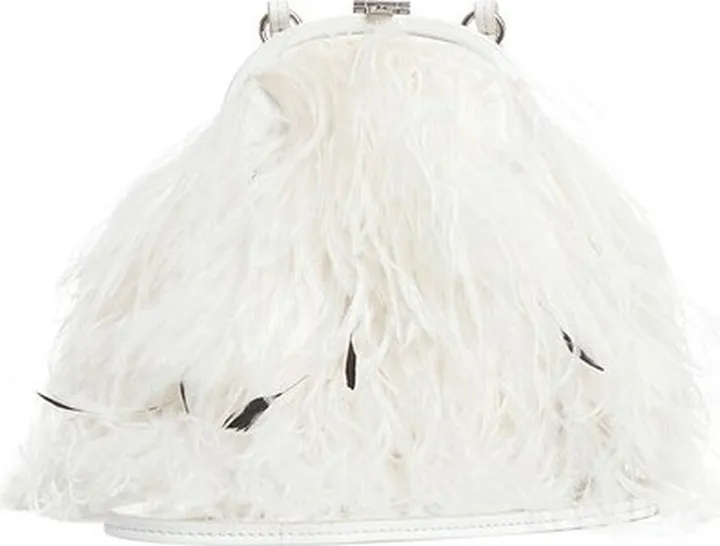 Frame Crossbody Bag