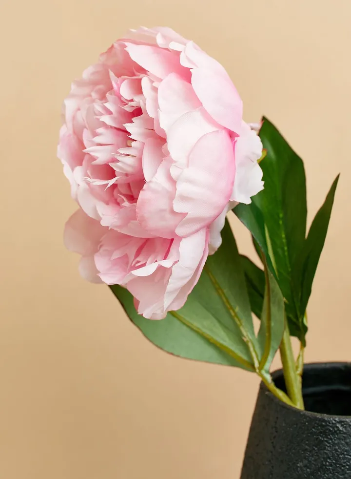 Fiori Faux Peony Single Stem