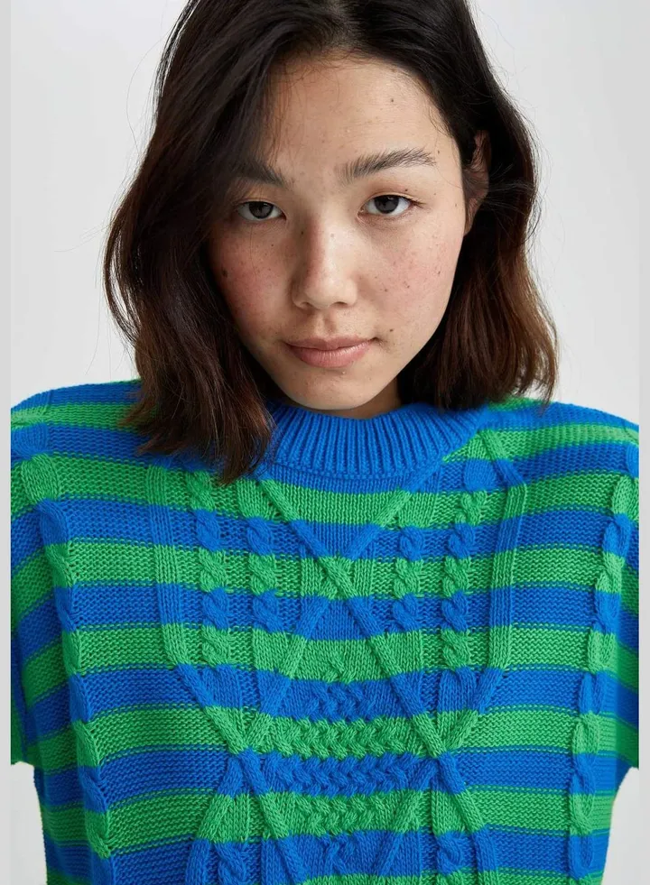 Woman Crew Neck Long Sleeve Tricot Pullover