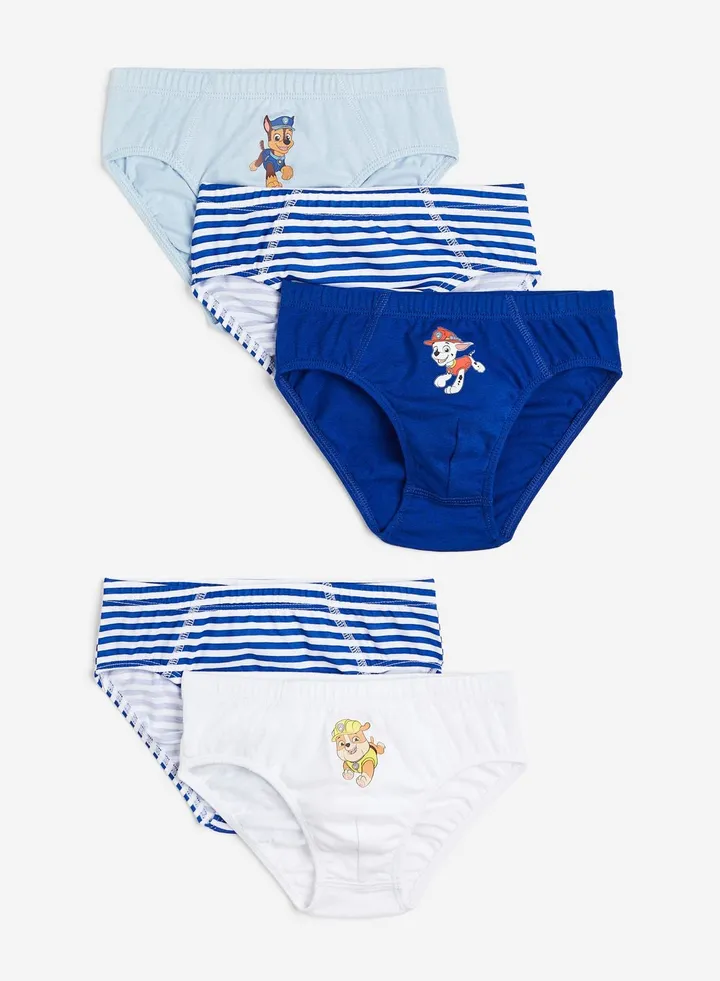 Kids 5 Pack Printed Briefs