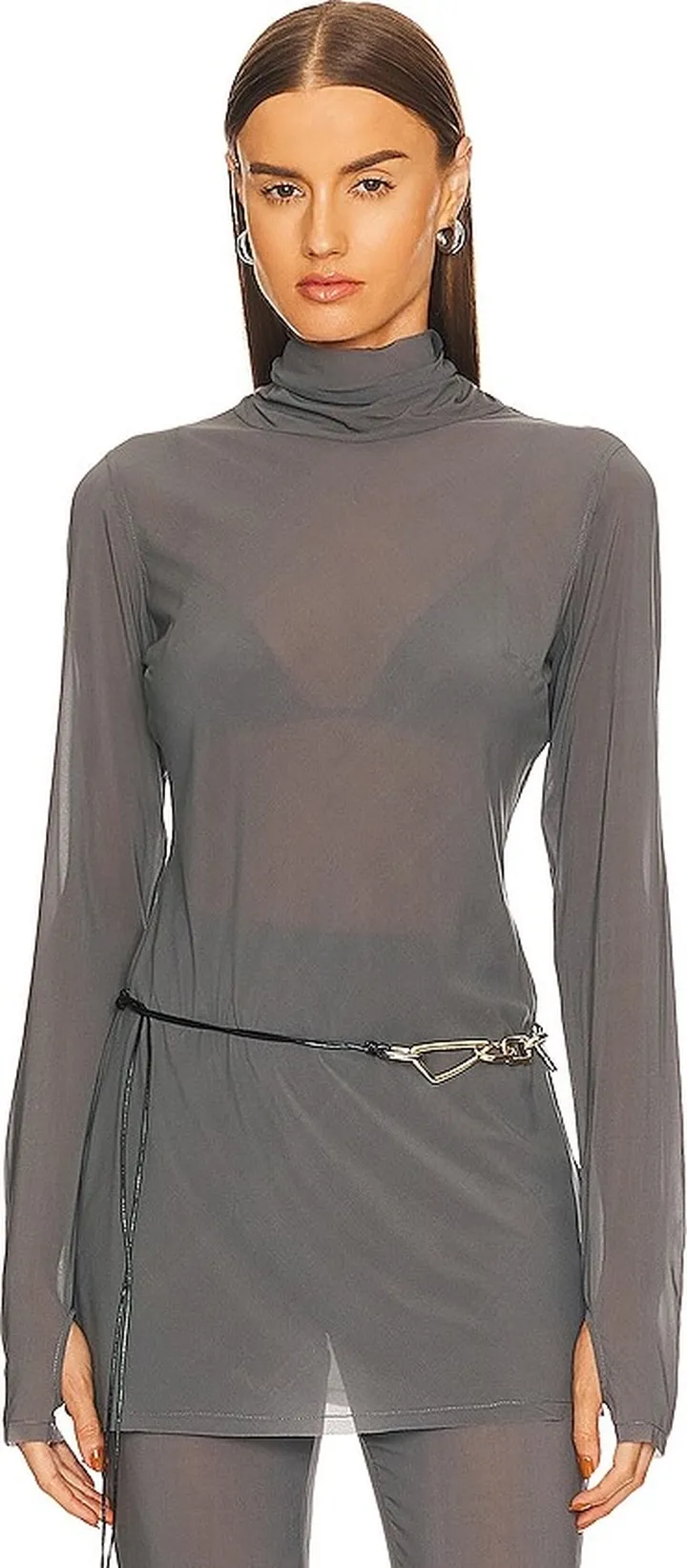 Sheer Turtleneck Tunic