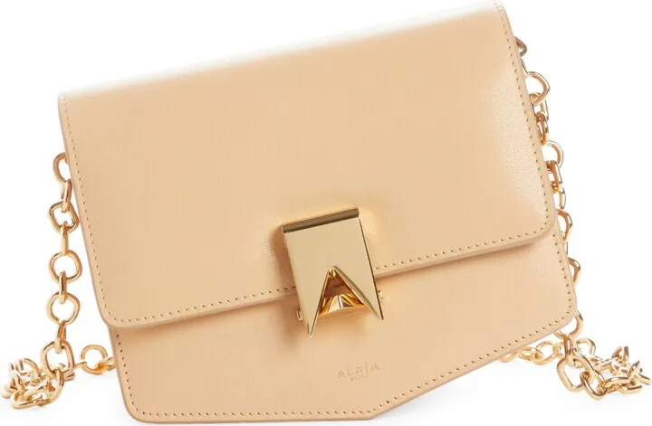 Le Papa Chain Strap Leather Crossbody Bag