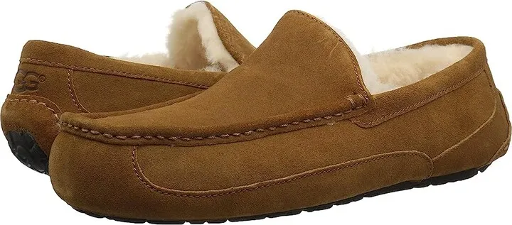 UGG Wide Ascot (Chestnut) Men's Shoes