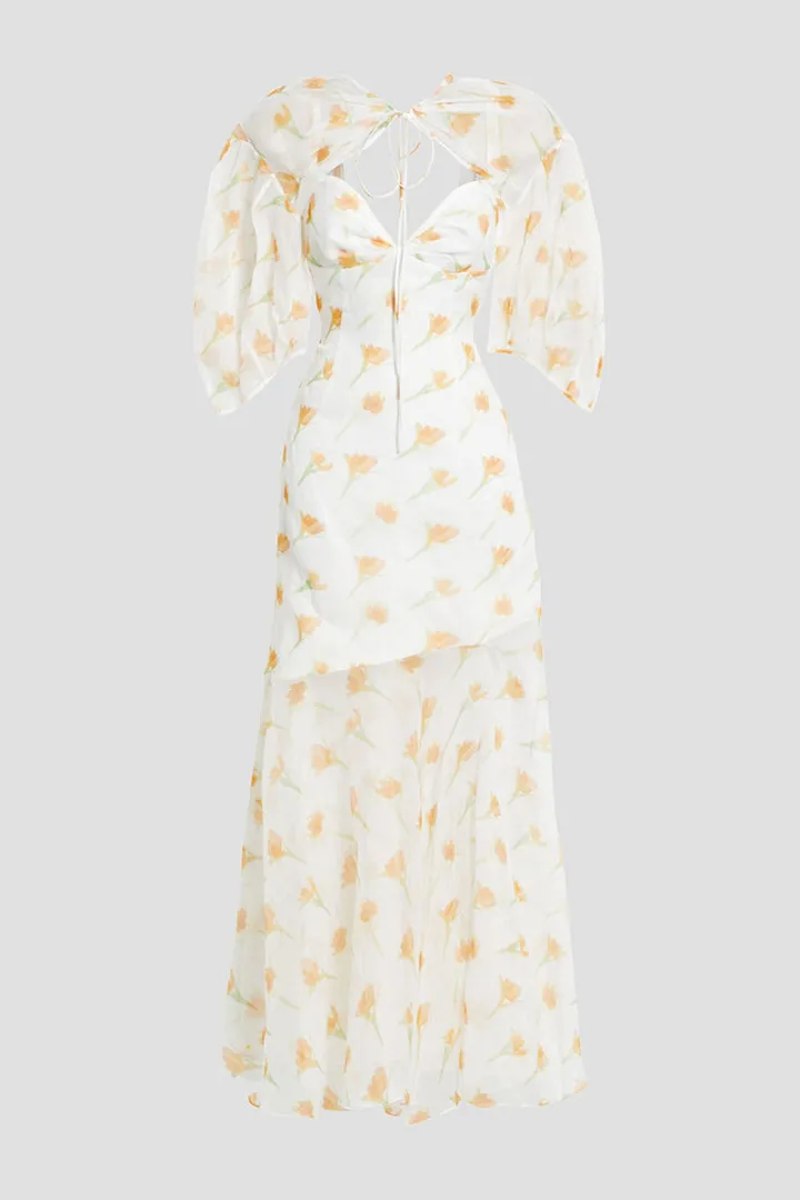 Sliced and Diced Bohemian floral-print cotton-organza maxi dress
