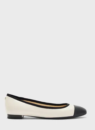 Pointed Toe Low Heel Ballerinas