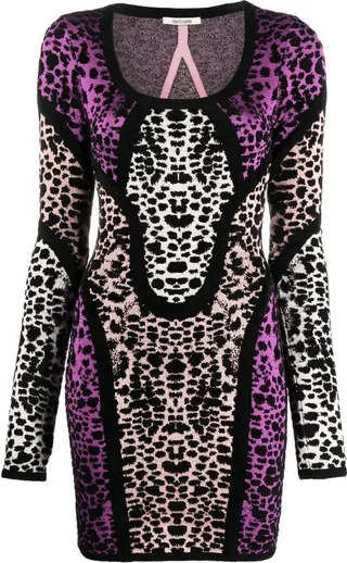 Animal Print Panelled Minidress
