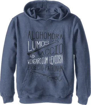 Boy's Harry Potter List of Spells Pull Over Hoodie - Navy Blue Heather - Medium