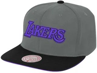 Men's Gray and Purple Los Angeles Lakers Neon Lights Snapback Adjustable Hat