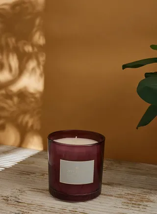400G Wax Filled Pot 'Oleander' Plum