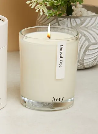 Bonsai Tree Candle 200G