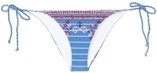 Embroidered Stripe-Print Bikini Bottoms