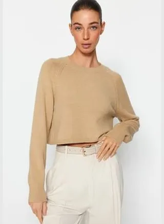 Camel Premium Yarn / Special Yarn Knitwear Sweater TWOAW24KZ00137