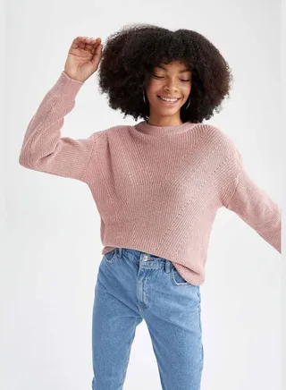 Regular Fit Crew Neck Tricot Pullover