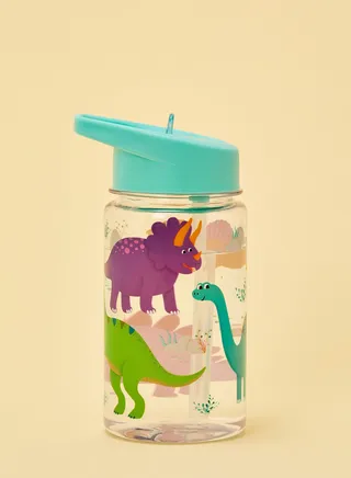 Drink Up Dinosaur Water Bottle