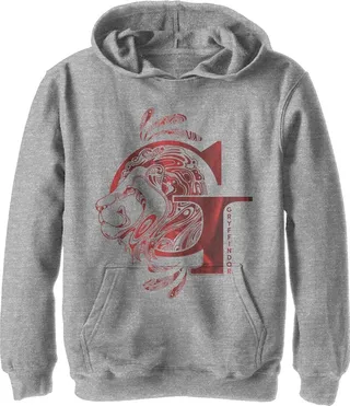 Boy's Harry Potter Gryffindor G Logo Pull Over Hoodie - Athletic Heather - X Large