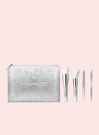 Brush Of Snow Essential Brush Kit