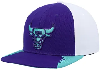 Men's Mitchell & Ness Purple Chicago Bulls Day 5 Snapback Hat