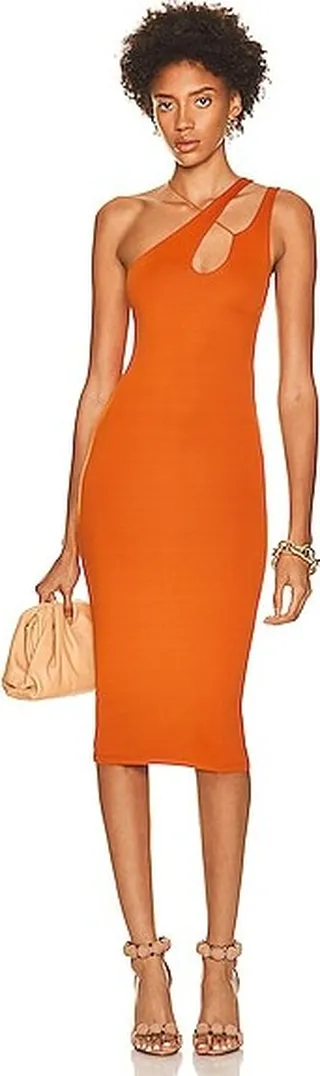 ALIX NYC Blair Dress in Burnt Orange