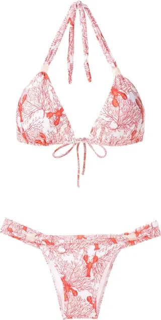 Sea Life-Print Bikini Set