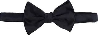Clip-Fastening Bow Tie