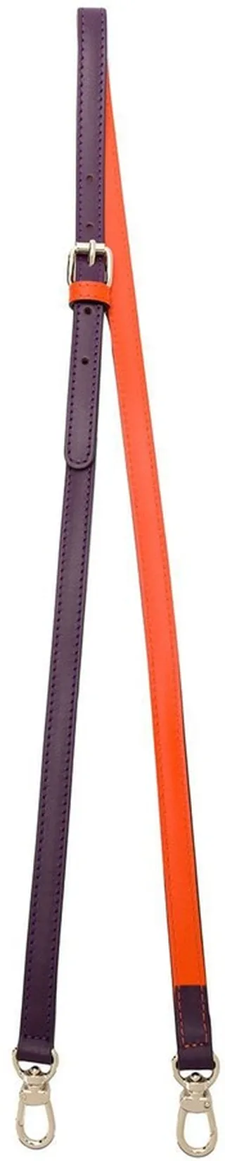 Bag Strap