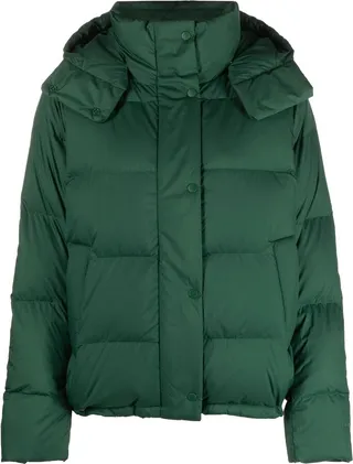 Hooded Puffer Jacket