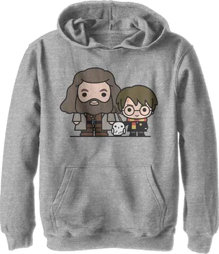 Boy's Harry Potter Hagrid & Hedwig Kawaii Cuties Pull Over Hoodie - Athletic Heather - Large