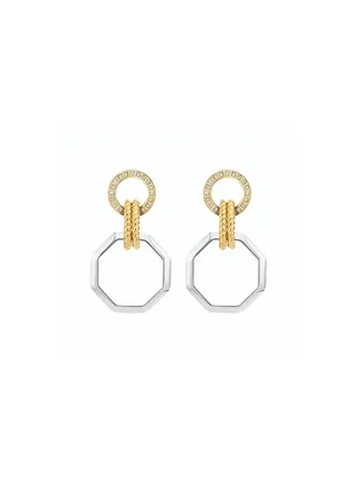Shaped Drop Earrings