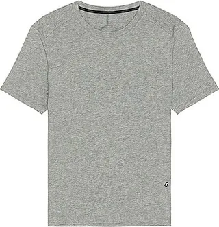 On Active-T in Grey