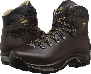 Asolo TPS 520 GV EVO (Chestnut) Men's Boots