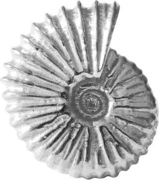 Lee Renee - Ammonite Lapel Pin – Silver