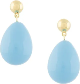 Drop Pendant Earrings