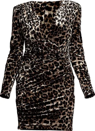 Leopard-Print Velvet Cocktail Dress