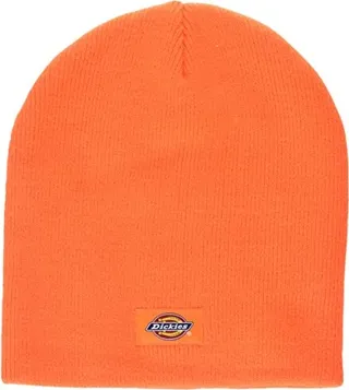 Dickies Men's Insulated Acrylic Temp-iQ Beanie