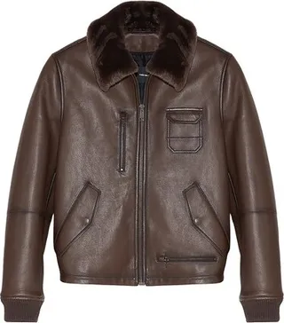 Leather aviator jacket with shearling collar