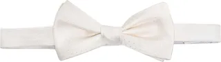 Silk papillon