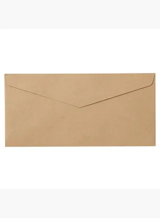 Kraft Envelope, 20 Sheets, W 10.5 x L 21.5 cm, Beige