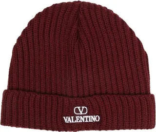 VLogo-embroidered ribbed beanie